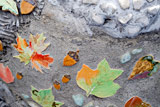 Leaves at Playground