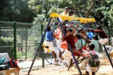 Photo of Coles Park Photo of Coles Park