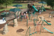 Photo of Everybody’s Treehouse Photo of Everybody’s Treehouse