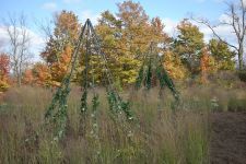 Logo for Freedom Trail Park Logo for Freedom Trail Park