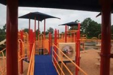 Photo of Inspiration Park Photo of Inspiration Park