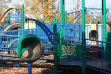 Photo of Julie’s Jungle Photo of Julie’s Jungle