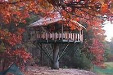 Photo of Oakledge Park & Beach Treehouse Photo of Oakledge Park & Beach Treehouse