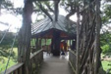 Logo for Oakledge Park & Beach Treehouse Logo for Oakledge Park & Beach Treehouse