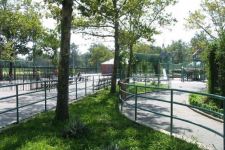 Photo of Playground For All Children Photo of Playground For All Children