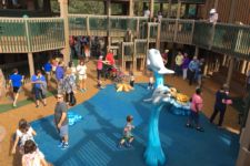 Photo of Sugar Sands Park Photo of Sugar Sands Park