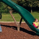 Slide held up with a tree branches as support